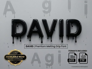 David Font: Creative Projects & Typeface Design