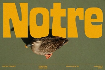 Notre Font: Design Tips & Creative Projects
